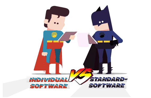 Individual software vs. standard software