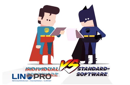 Individual software vs. standard software